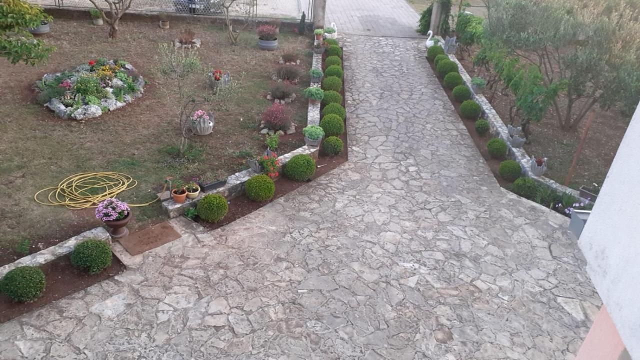 Viki * Lozovac