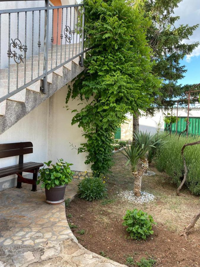 Appartement Viki *